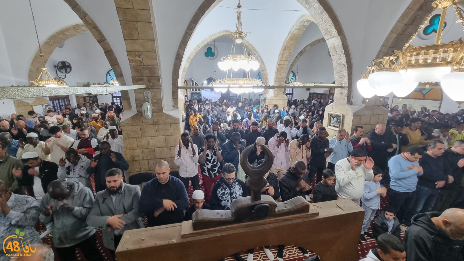 WhatsApp Image 2024-04-10 at 6.58.43 AM.jpeg